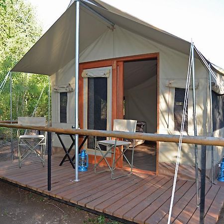 The Wild Olive Tree Camp Hotel Welverdiend  Cameră foto